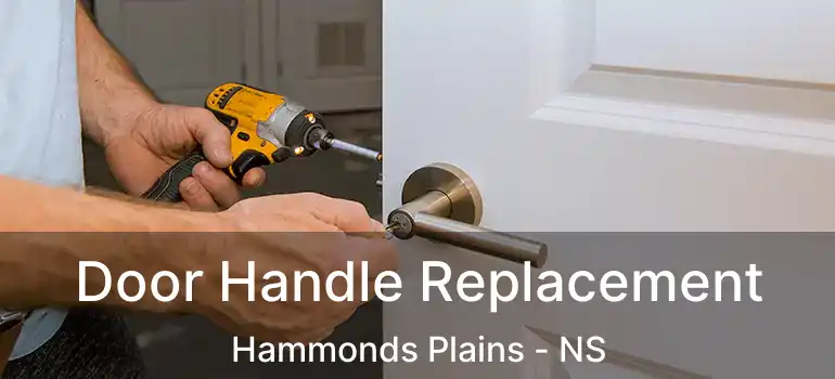  Door Handle Replacement Hammonds Plains - NS