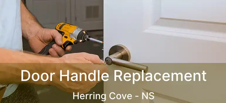  Door Handle Replacement Herring Cove - NS