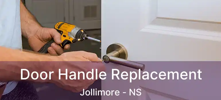  Door Handle Replacement Jollimore - NS