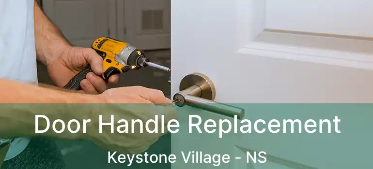  Door Handle Replacement Keystone Village - NS