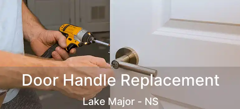  Door Handle Replacement Lake Major - NS