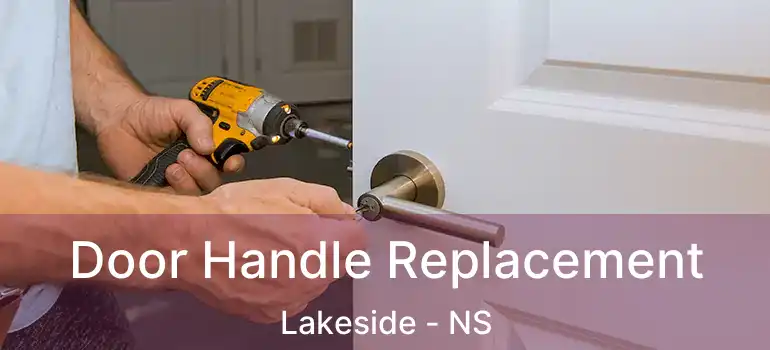  Door Handle Replacement Lakeside - NS