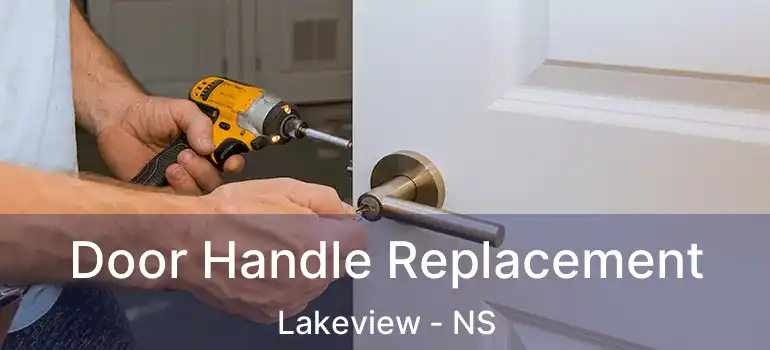  Door Handle Replacement Lakeview - NS