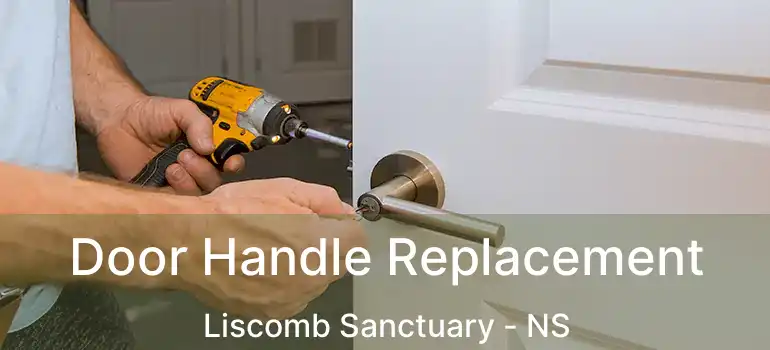  Door Handle Replacement Liscomb Sanctuary - NS