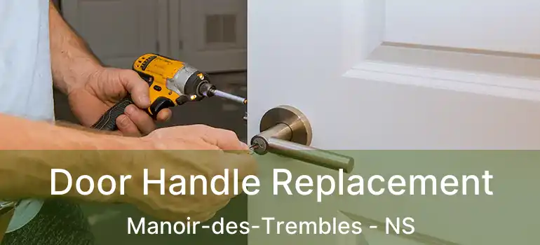  Door Handle Replacement Manoir-des-Trembles - NS