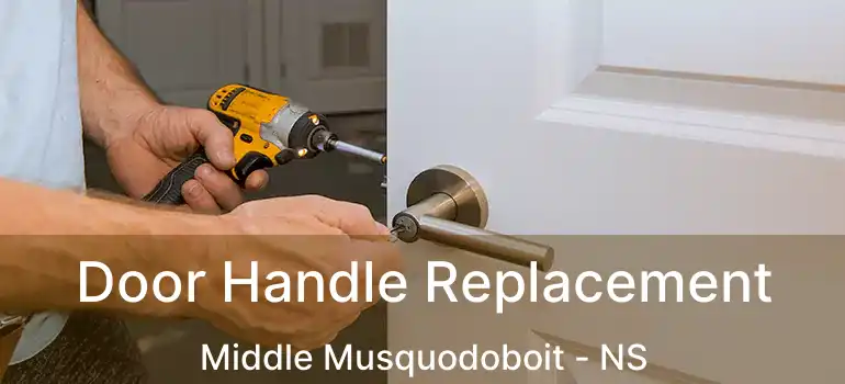  Door Handle Replacement Middle Musquodoboit - NS