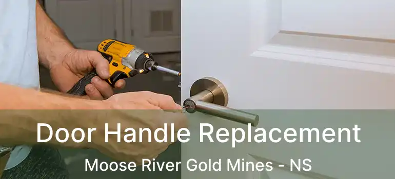  Door Handle Replacement Moose River Gold Mines - NS