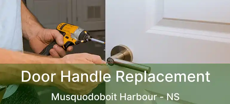  Door Handle Replacement Musquodoboit Harbour - NS