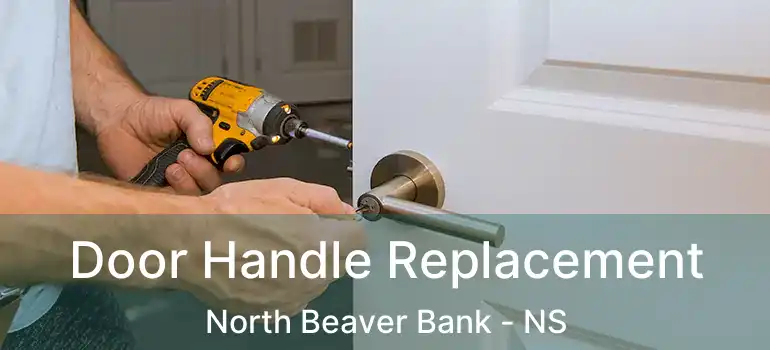  Door Handle Replacement North Beaver Bank - NS