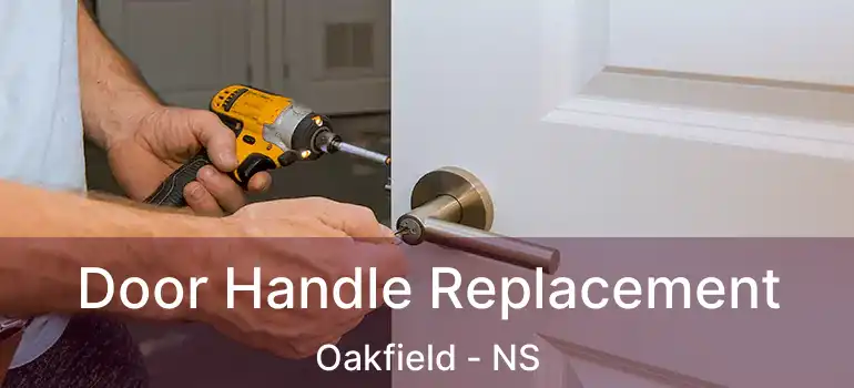  Door Handle Replacement Oakfield - NS