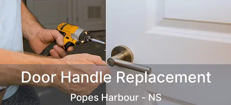  Door Handle Replacement Popes Harbour - NS