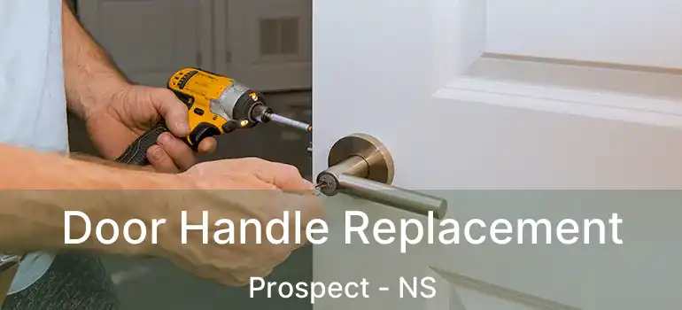  Door Handle Replacement Prospect - NS