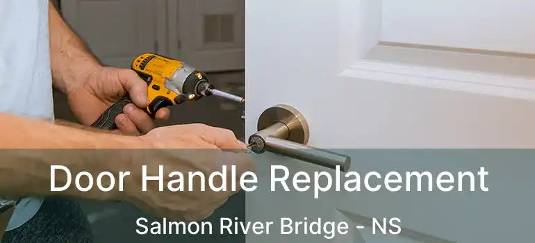  Door Handle Replacement Salmon River Bridge - NS