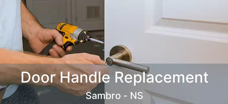  Door Handle Replacement Sambro - NS