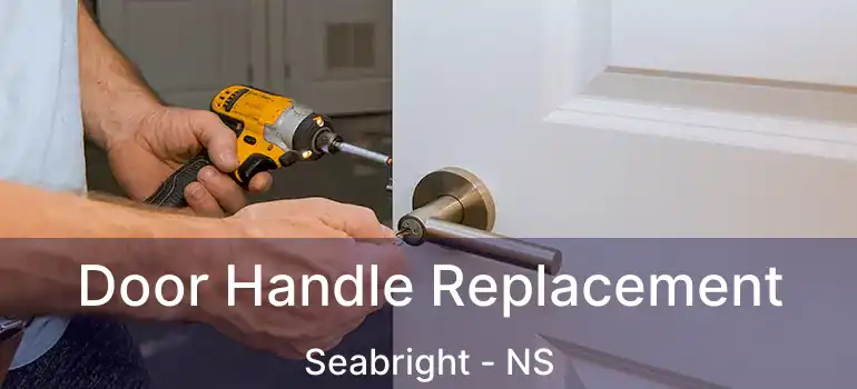  Door Handle Replacement Seabright - NS