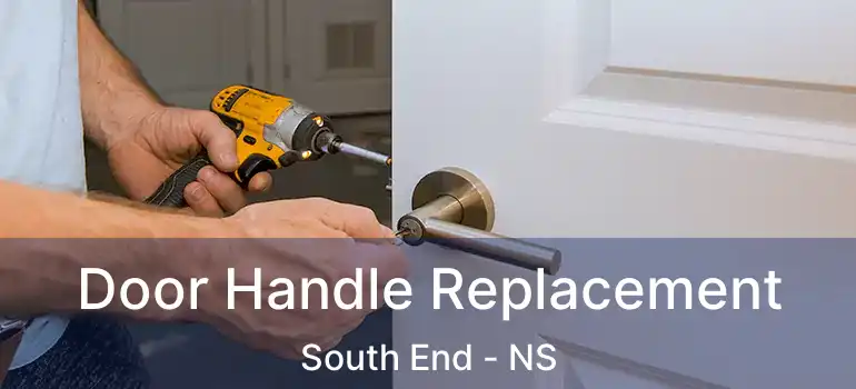  Door Handle Replacement South End - NS