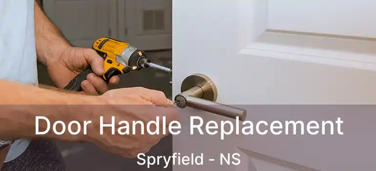  Door Handle Replacement Spryfield - NS