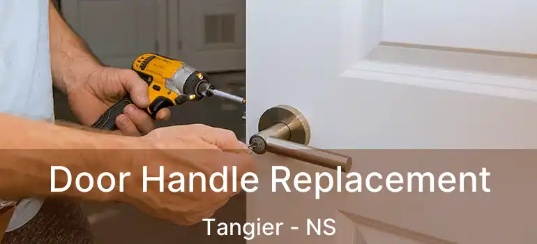  Door Handle Replacement Tangier - NS