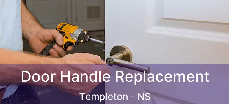  Door Handle Replacement Templeton - NS