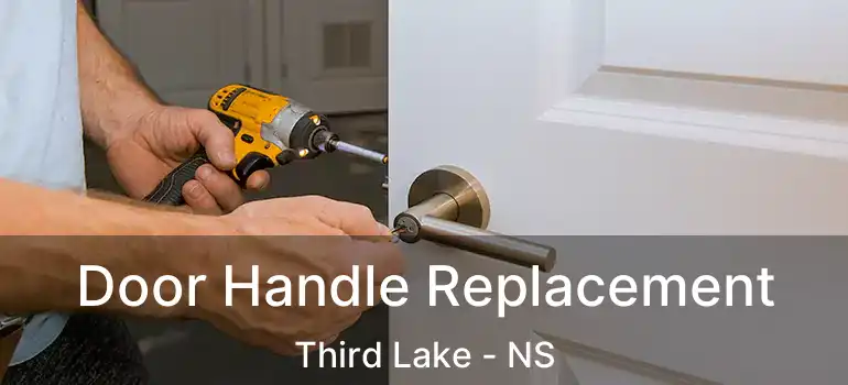  Door Handle Replacement Third Lake - NS