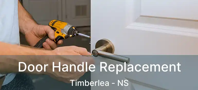  Door Handle Replacement Timberlea - NS