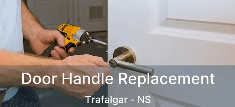  Door Handle Replacement Trafalgar - NS