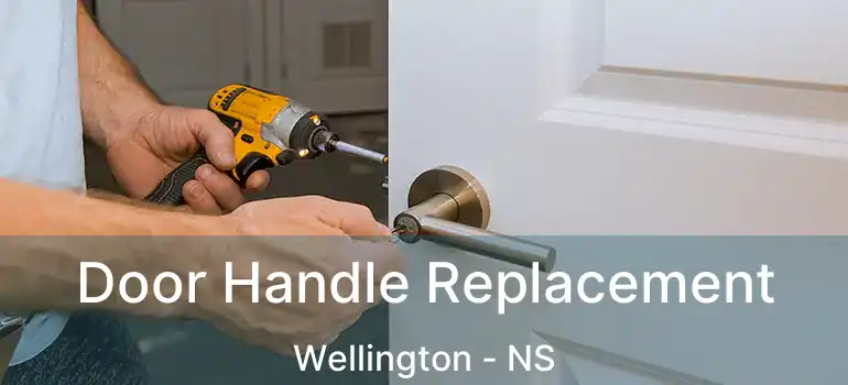  Door Handle Replacement Wellington - NS