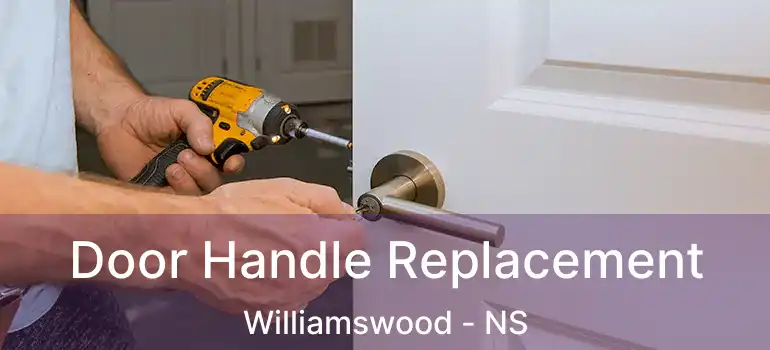  Door Handle Replacement Williamswood - NS