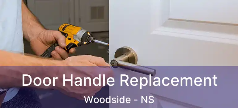  Door Handle Replacement Woodside - NS