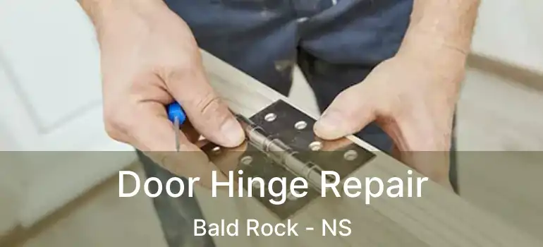  Door Hinge Repair Bald Rock - NS