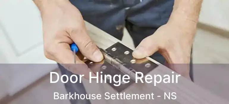  Door Hinge Repair Barkhouse Settlement - NS