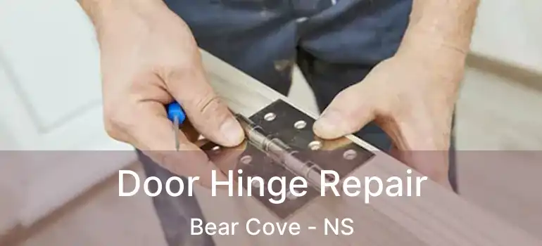  Door Hinge Repair Bear Cove - NS