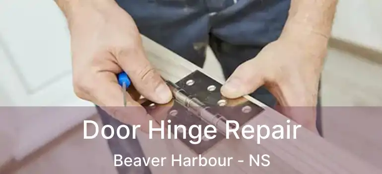  Door Hinge Repair Beaver Harbour - NS