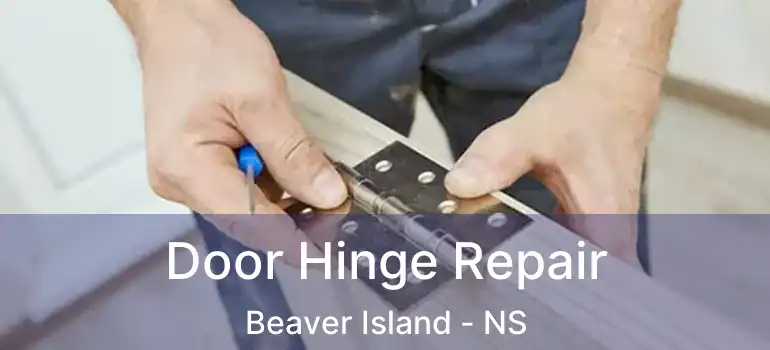  Door Hinge Repair Beaver Island - NS