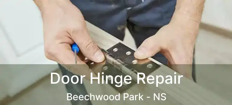  Door Hinge Repair Beechwood Park - NS