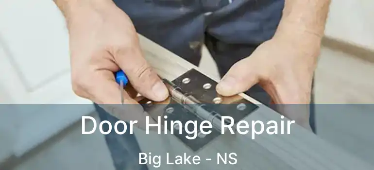  Door Hinge Repair Big Lake - NS