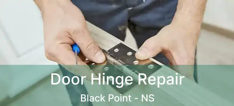  Door Hinge Repair Black Point - NS