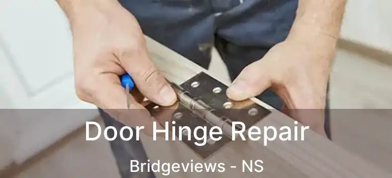  Door Hinge Repair Bridgeviews - NS