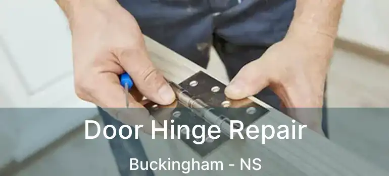  Door Hinge Repair Buckingham - NS