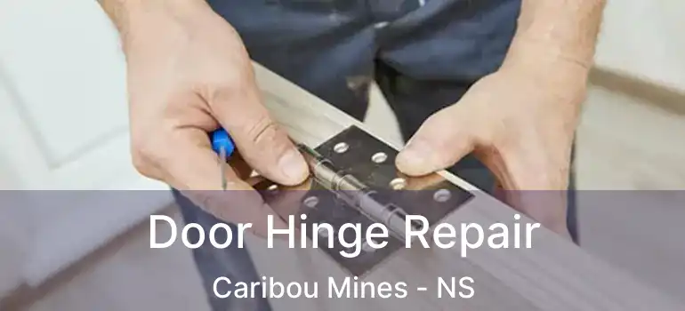  Door Hinge Repair Caribou Mines - NS