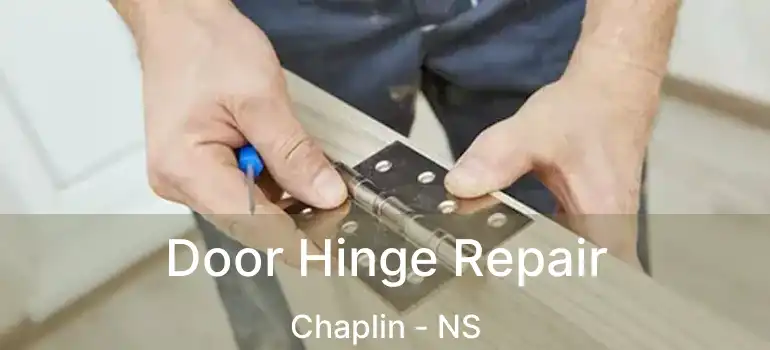  Door Hinge Repair Chaplin - NS