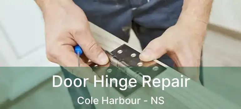  Door Hinge Repair Cole Harbour - NS