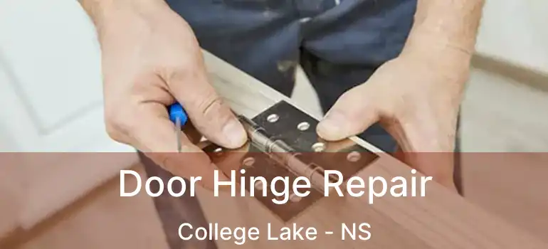  Door Hinge Repair College Lake - NS