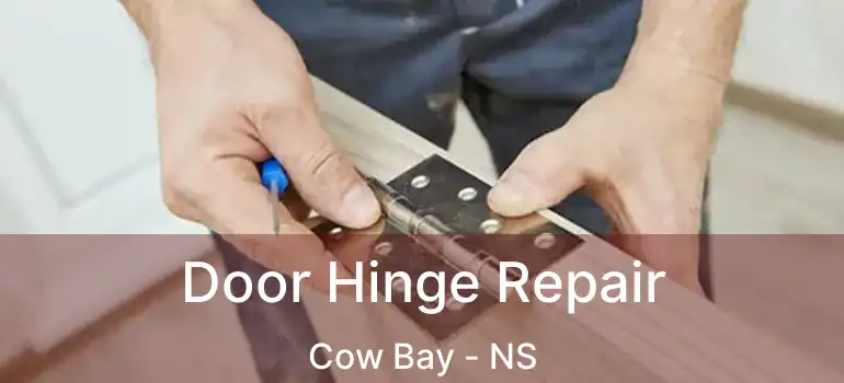  Door Hinge Repair Cow Bay - NS