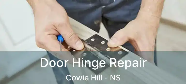  Door Hinge Repair Cowie Hill - NS