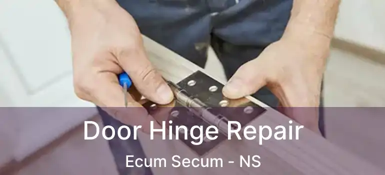  Door Hinge Repair Ecum Secum - NS