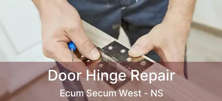  Door Hinge Repair Ecum Secum West - NS