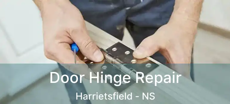  Door Hinge Repair Harrietsfield - NS