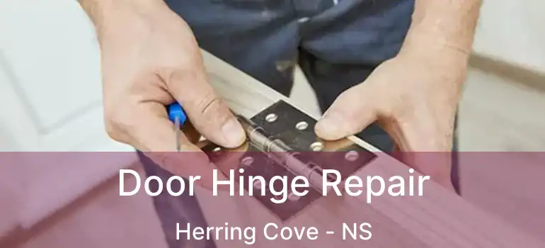  Door Hinge Repair Herring Cove - NS