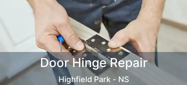  Door Hinge Repair Highfield Park - NS